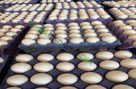 تخم مرغ صادراتی - 1