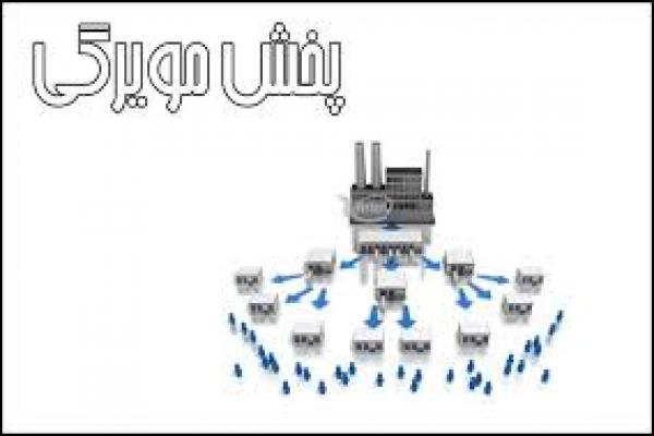 تصویر شماره سیاست فروش و پخش مویرگی کالا در عراق به وسیله شرکتهای ترکیه
